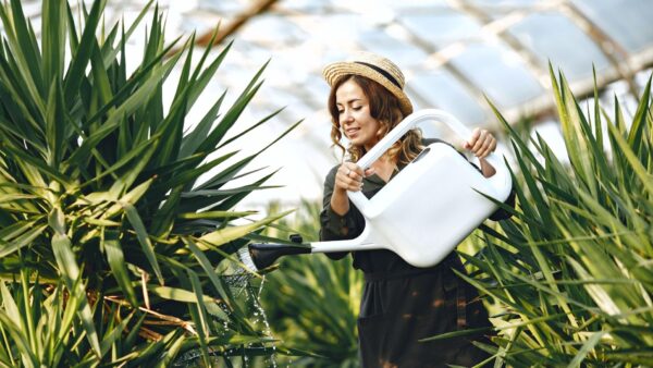 Aranżacja ogrodu – czym warto się kierować?