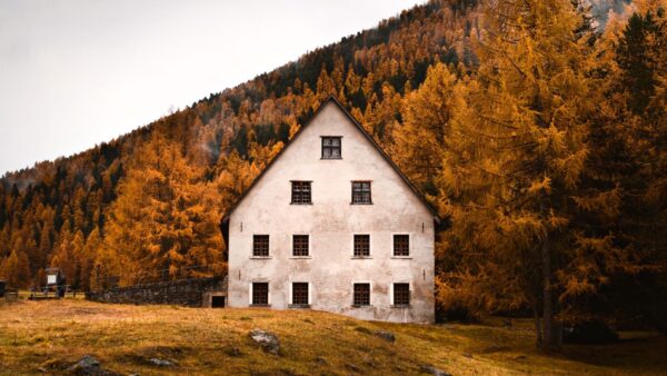 Jak przygotować ogród na jesień?